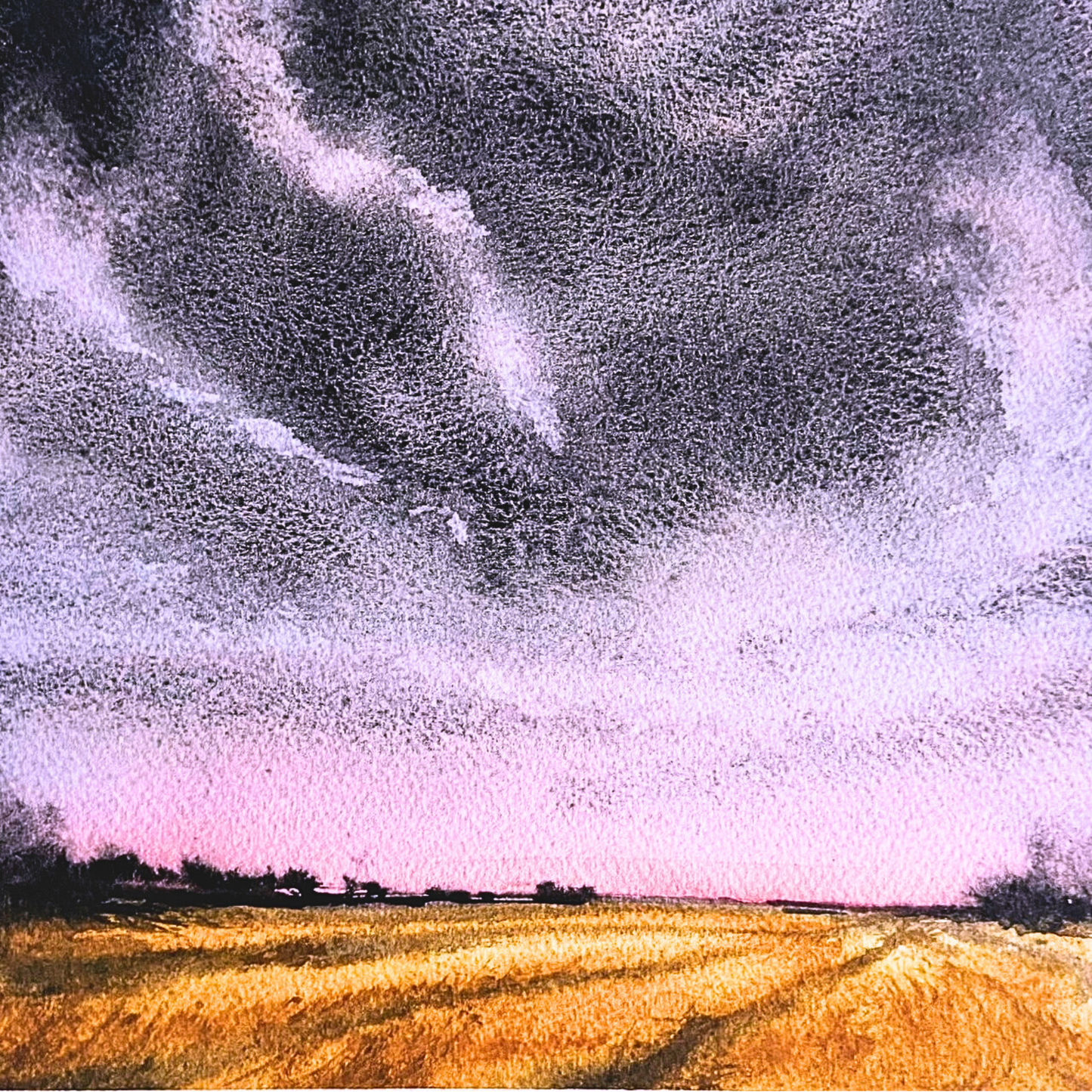 Skånes föränderliga sommarhimlar, Munka-Ljungby