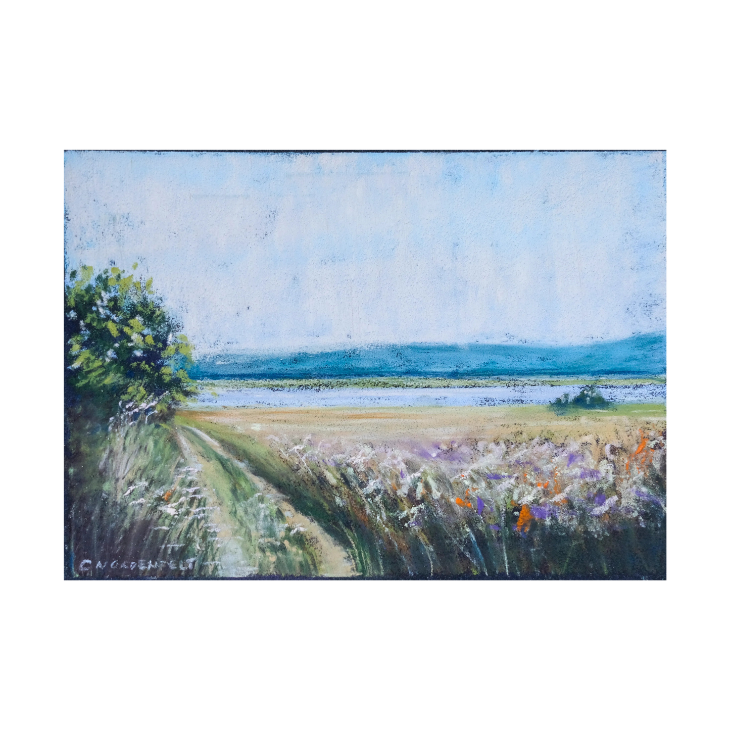 Försommar på Vallda Sandö