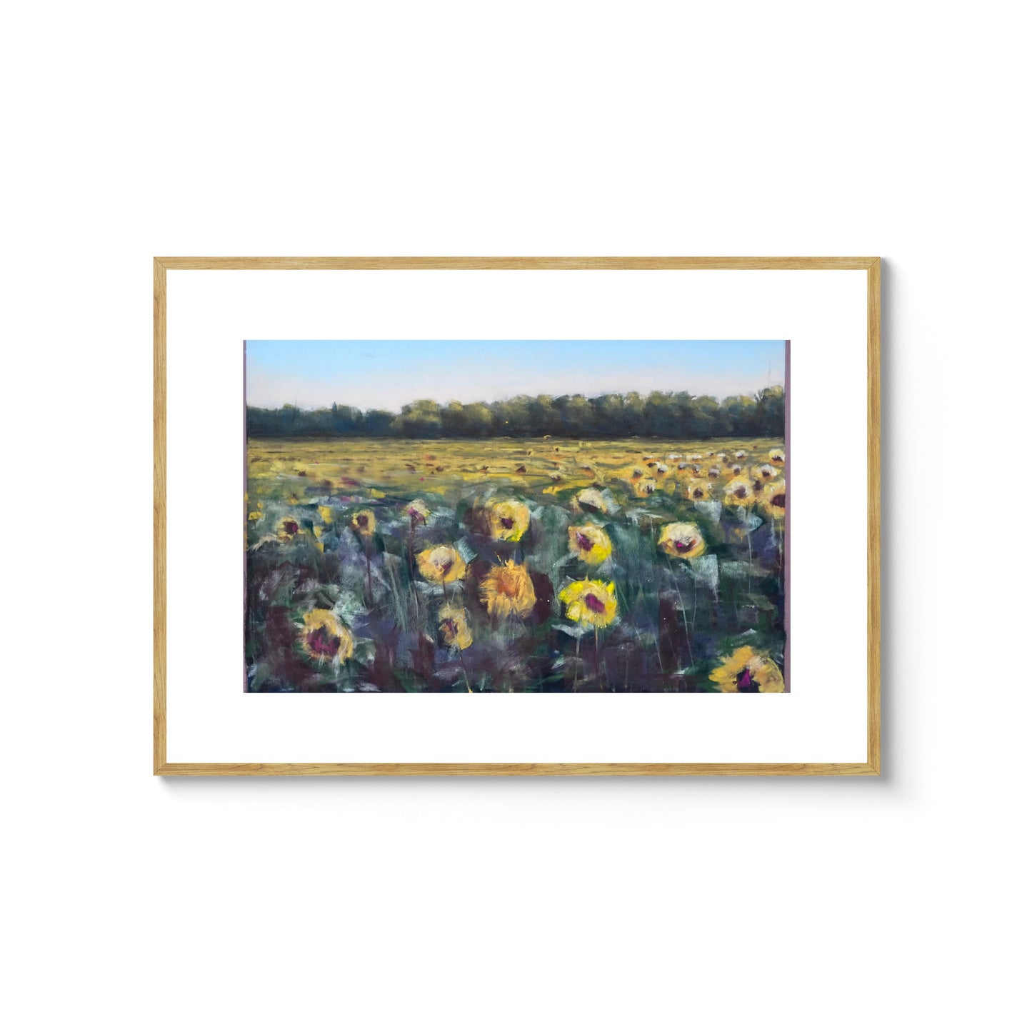 Sommarens sista solrosor