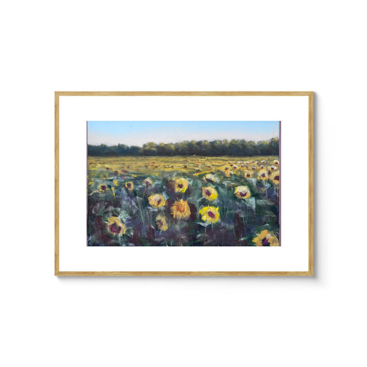 Sommarens sista solrosor