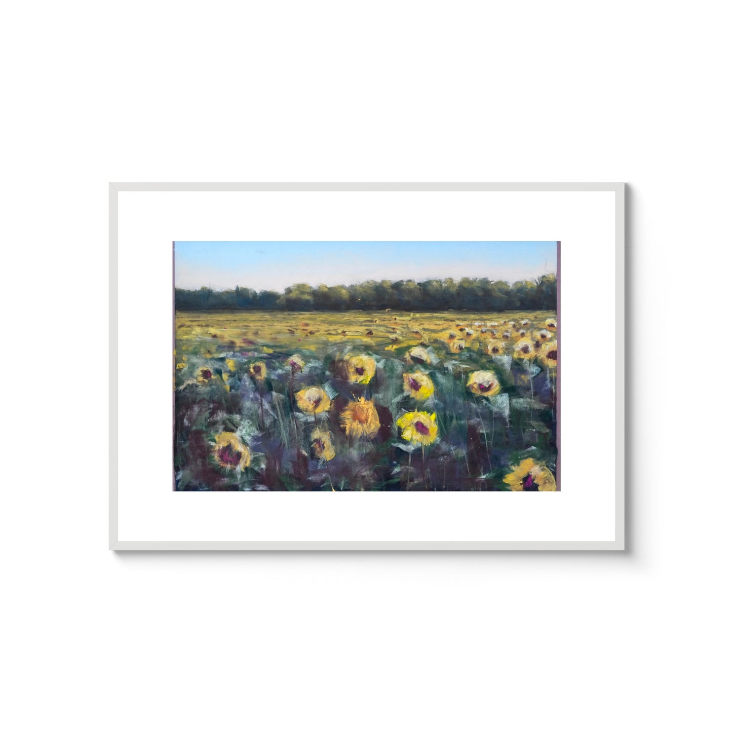 Sommarens sista solrosor